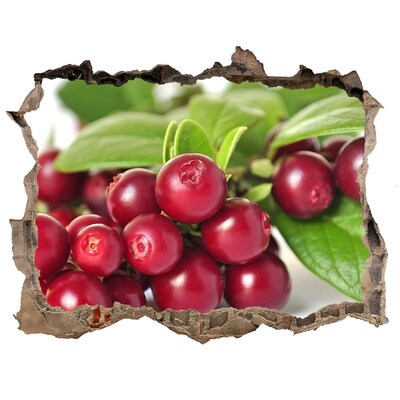 Vinilo pared rota 3d efecto realista Agujero afrutado en la pared