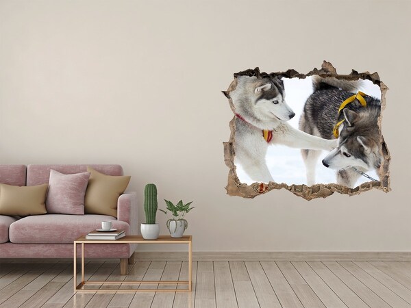 Vinilo pared rota 3d efecto realista Huskies siberianos en acción