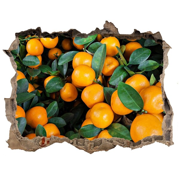 Pegatina agujero en la pared autoadhesiva Fruta en el huerto de naranjos