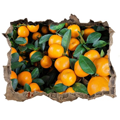 Pegatina agujero en la pared autoadhesiva Fruta en el huerto de naranjos