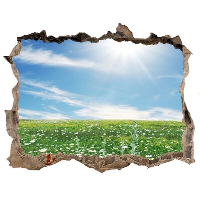 Trampantojo de pared rota efecto profundidad Un prado de flores bajo un cielo azul