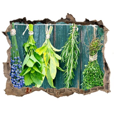 Naklejka 3D dziura okleina Ziołowy ogród w kuchni