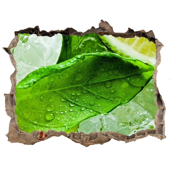 Trampantojo de pared rota efecto profundidad Hojas de menta fresca sobre hielo
