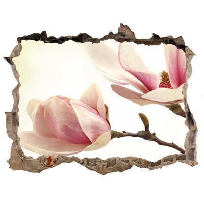 Pegatina de vinilo agujero 3d para pared Flor de magnolia en hormigón