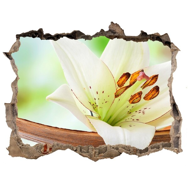 Vinilo pared rota 3d efecto realista Un oasis floral en hormigón