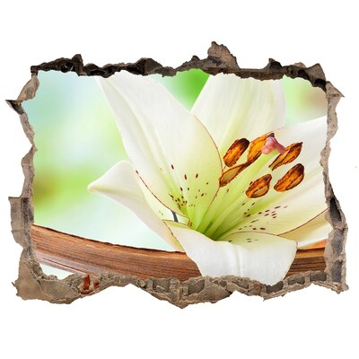 Samoprzylepna dziura naklejka beton Kwiatowa oaza w betonie