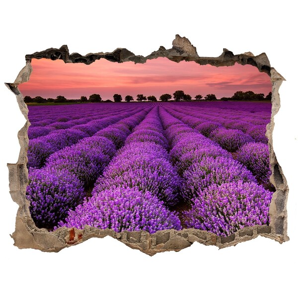 Pegatina de vinilo agujero 3d para pared Campos de lavanda al atardecer