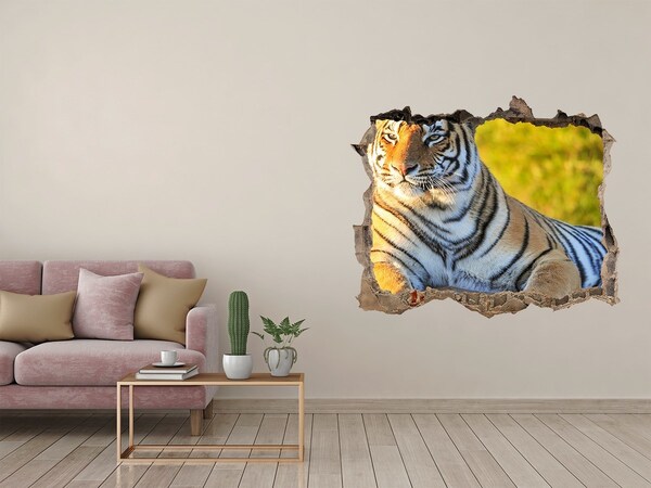 Vinilo pared rota 3d efecto realista Tigre en su hábitat natural