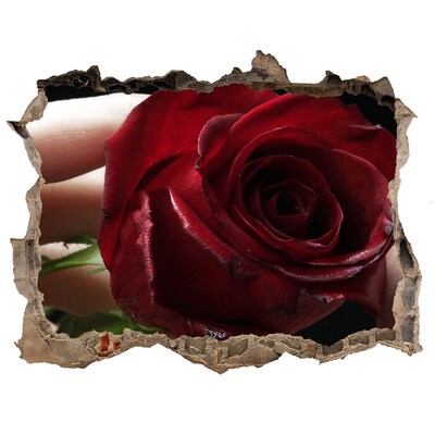 Pegatina agujero en la pared autoadhesiva Una rosa en una pared en ruinas