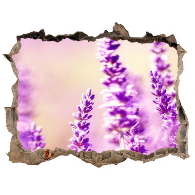 Pegatina de vinilo agujero 3d para pared Flores de lavanda en una pared rota