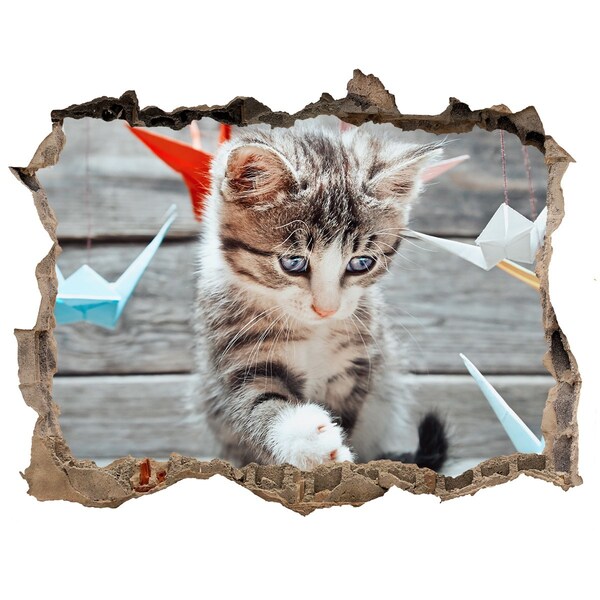 Dziura 3d fototapeta Kociak w dziurze w ścianie