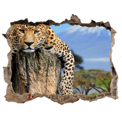 Pegatina de vinilo agujero 3d para pared La mirada pegajosa de un leopardo