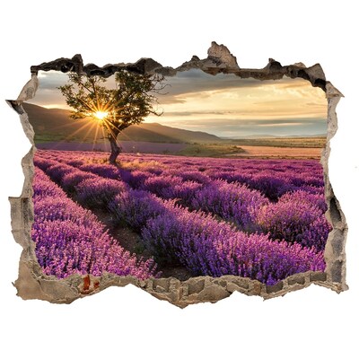 Vinilo pared rota 3d efecto realista Campos de lavanda al atardecer