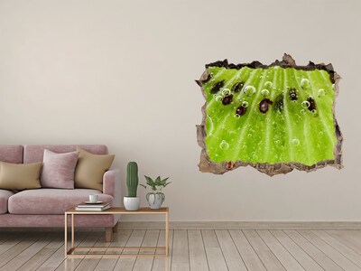 Trampantojo de pared rota efecto profundidad Fruta verde con gotas de agua