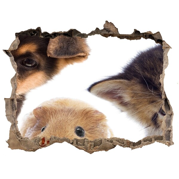 Pegatina agujero en la pared autoadhesiva Animales de más allá del muro