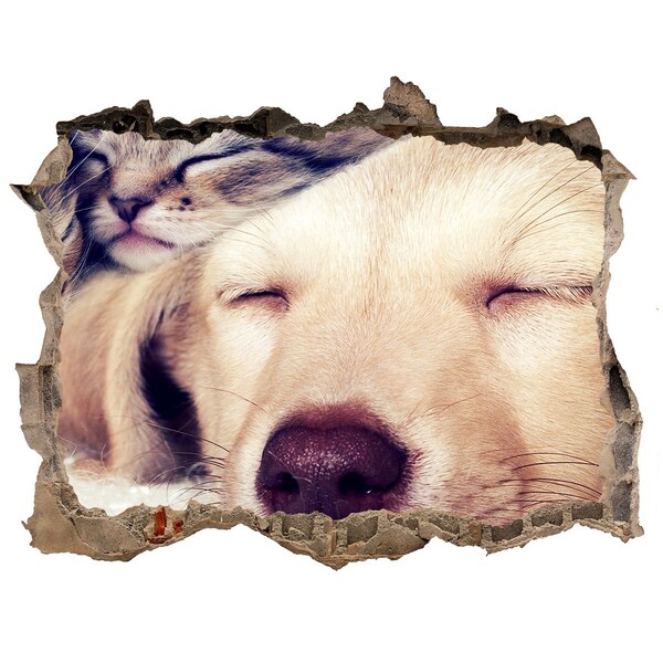 Pegatina agujero en la pared autoadhesiva Lindo perro en un agujero en la pared