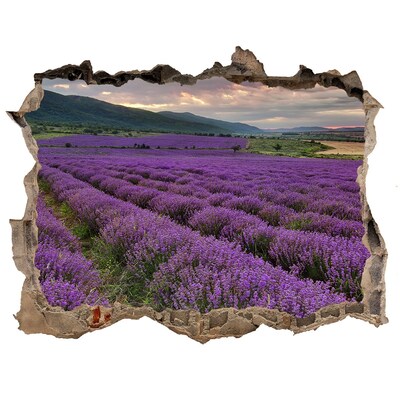 Trampantojo de pared rota efecto profundidad Campos de lavanda bajo los rayos del sol poniente