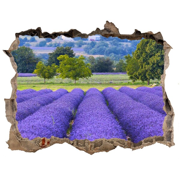 Vinilo pared rota 3d efecto realista Campos de lavanda en Provenza