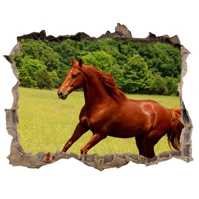 Dziura 3d fototapeta na ścianę Galloping Horse in a Scenic Meadow