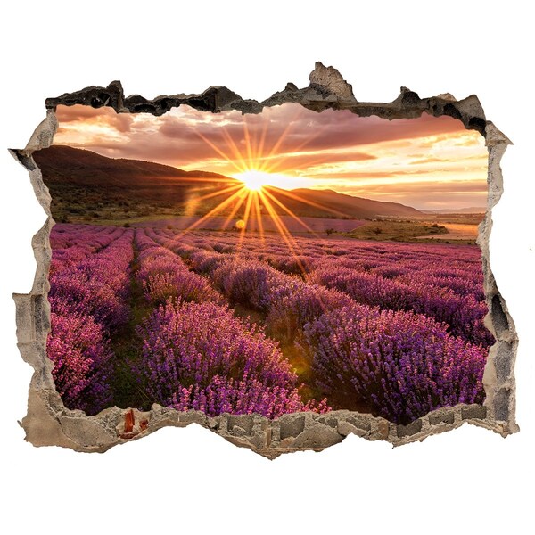 Vinilo pared rota 3d efecto realista Campo de lavanda al atardecer
