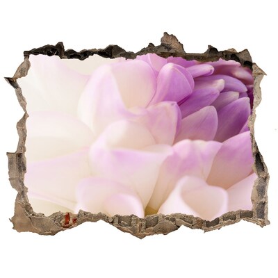 Vinilo pared rota 3d efecto realista Ilusión floral en hormigón