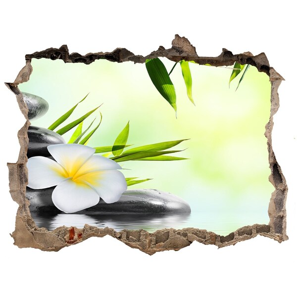 Trampantojo de pared rota efecto profundidad Un oasis de paz en la naturaleza