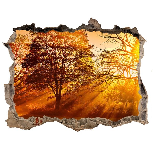 Pegatina de vinilo agujero 3d para pared Rayos dorados de sol en el bosque