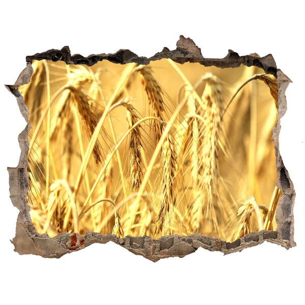 Trampantojo de pared rota efecto profundidad Granos dorados bajo el sol