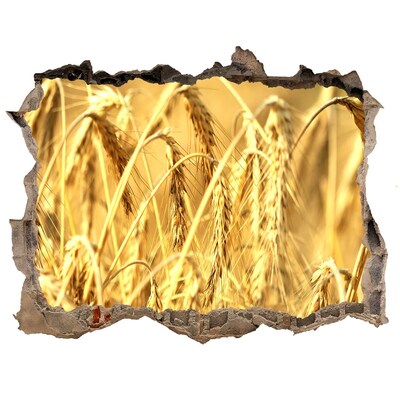 Trampantojo de pared rota efecto profundidad Granos dorados bajo el sol