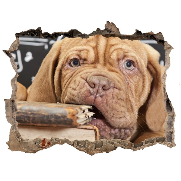 Trampantojo de pared rota efecto profundidad Un lindo cachorro entre libros