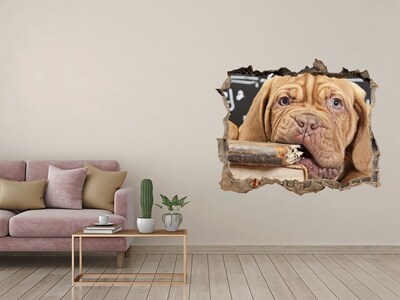 Trampantojo de pared rota efecto profundidad Un lindo cachorro entre libros