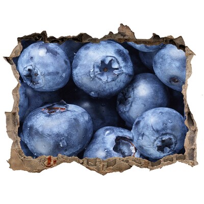 Trampantojo de pared rota efecto profundidad Bayas en hormigón