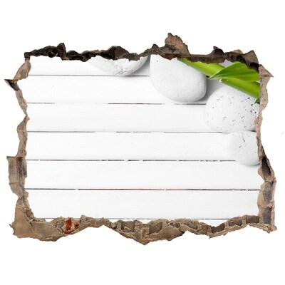 Vinilo pared rota 3d efecto realista Un oasis verde en hormigón