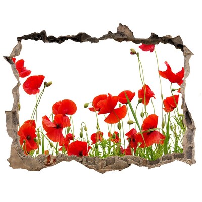 Pegatina agujero en la pared autoadhesiva Un paraíso floral en hormigón