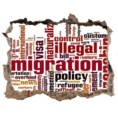 Vinilo pared rota 3d efecto realista Política migratoria