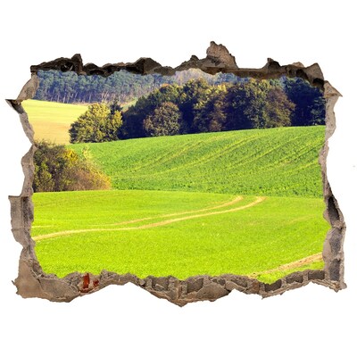 Vinilo pared rota 3d efecto realista Un prado verde detrás del muro