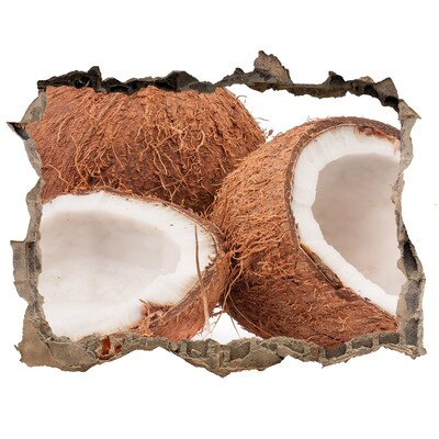 Trampantojo de pared rota efecto profundidad Tesoros de coco