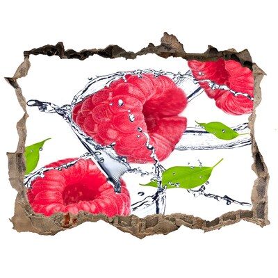 Pegatina de vinilo agujero 3d para pared Cascada de frambuesa