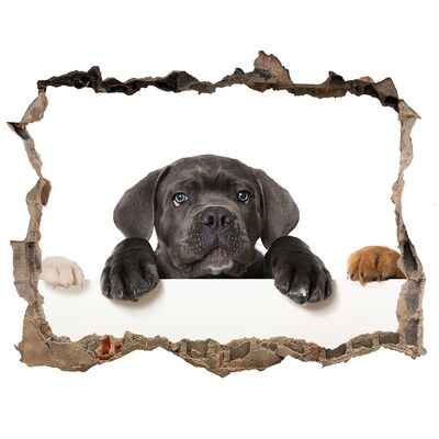 Pegatina de vinilo agujero 3d para pared Dulce cachorro detrás de la pared