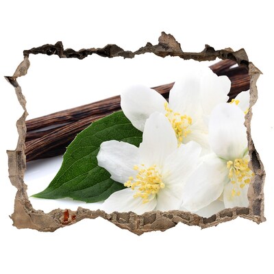 Vinilo pared rota 3d efecto realista Flores de jazmín en hormigón