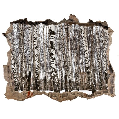 Vinilo pared rota 3d efecto realista Bosque de abedules de invierno