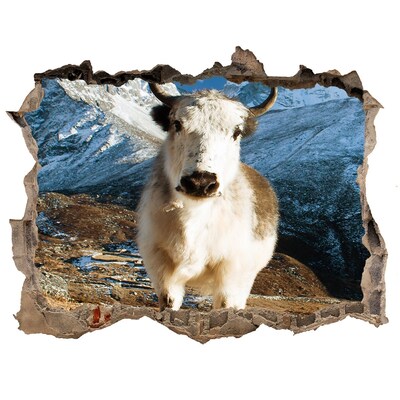 Dziura 3d fototapeta naklejka Górski bawół w dziurze w ścianie