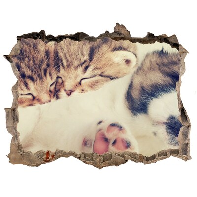 Vinilo pared rota 3d efecto realista Lindos gatitos en un agujero en la pared