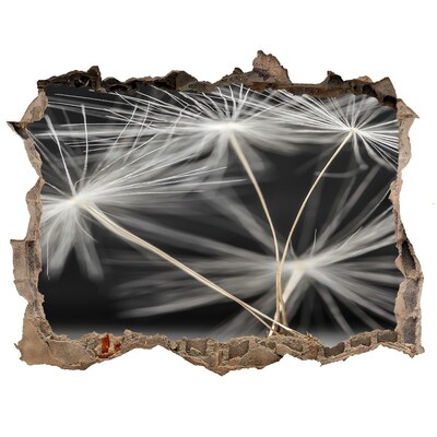 Pegatina de vinilo agujero 3d para pared Flores de diente de león en hormigón