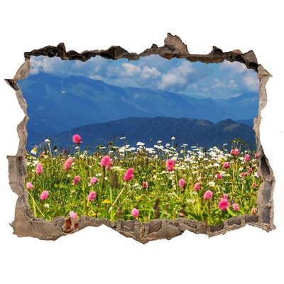 Vinilo pared rota 3d efecto realista Paisaje floral de montaña