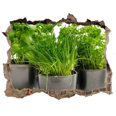 Pegatina de vinilo agujero 3d para pared Jardín verde en macetas