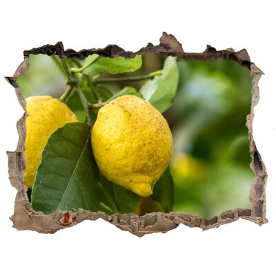 Trampantojo de pared rota efecto profundidad Jardín de limones detrás del muro