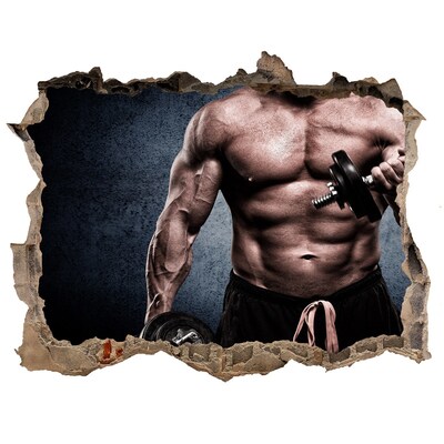 Pegatina agujero en la pared autoadhesiva El actuador en acción