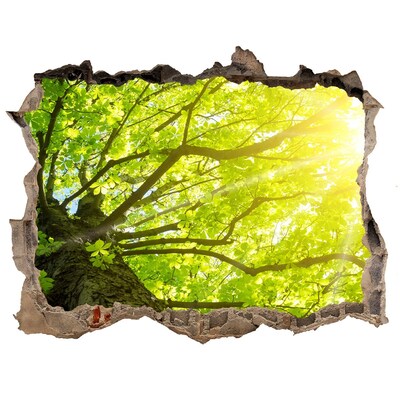 Pegatina de vinilo agujero 3d para pared Bosque verde bajo los rayos del sol