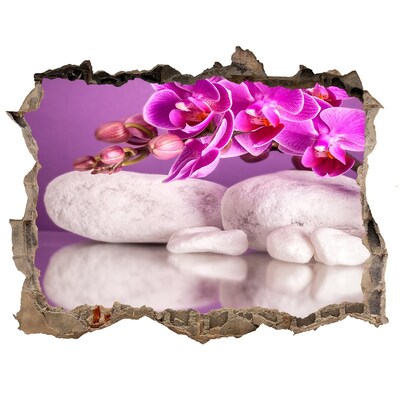 Trampantojo de pared rota efecto profundidad Orquídea sobre un fondo de piedras